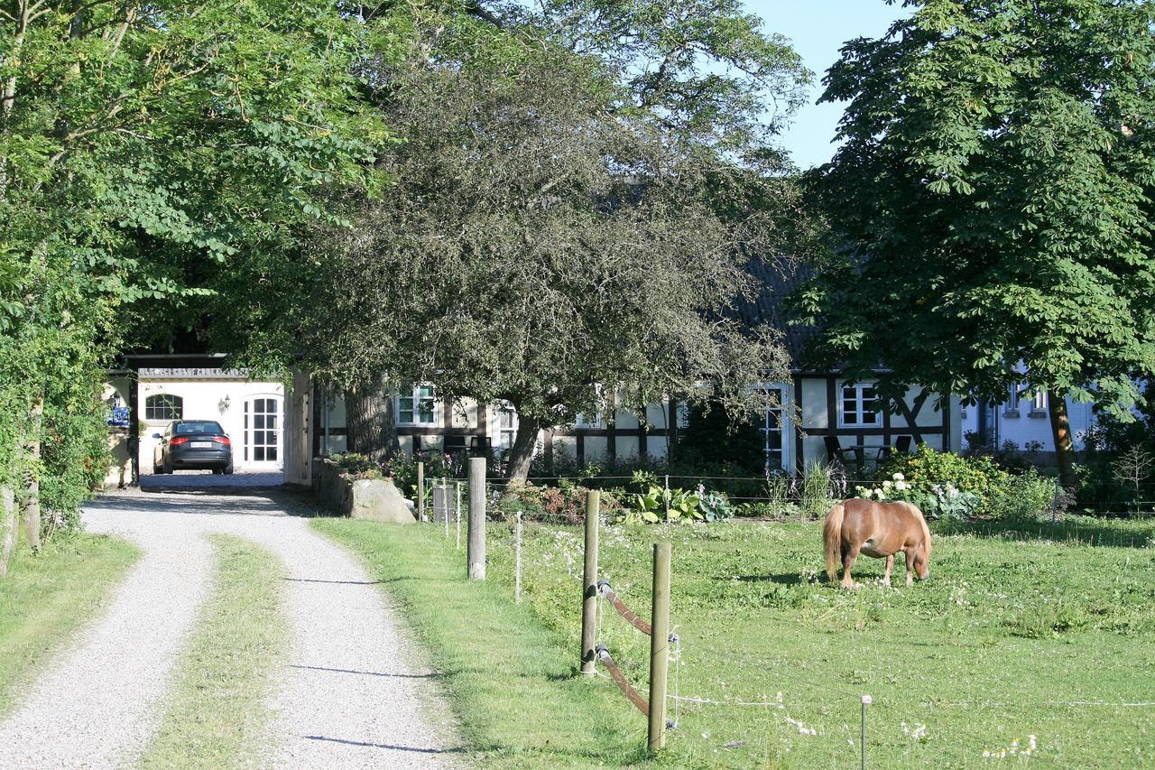Rodkaergard Bed&Breakfast カーテミンド エクステリア 写真